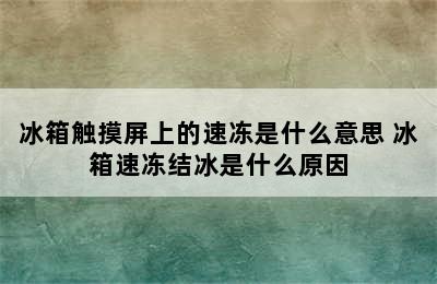 冰箱触摸屏上的速冻是什么意思 冰箱速冻结冰是什么原因